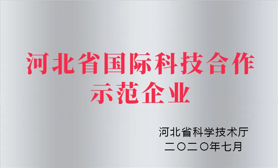 Effective Solutions for Easing Tooth Pain in Dogs and Ensuring Their Comfort and Health