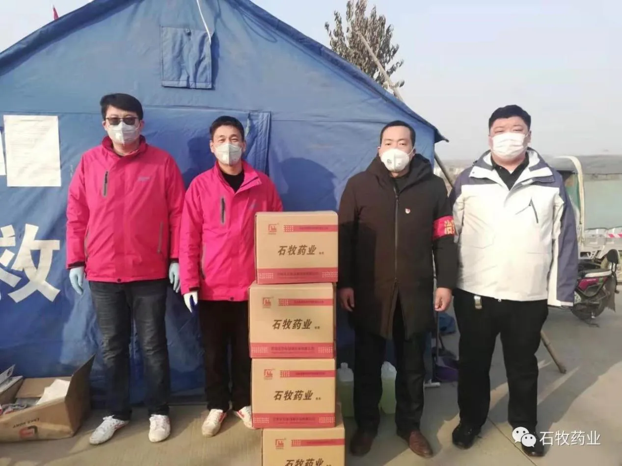 veterinary wound powder