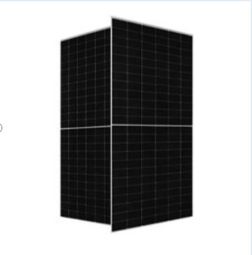 Panel Bifacial Performance in Snow and Low-Light Conditions