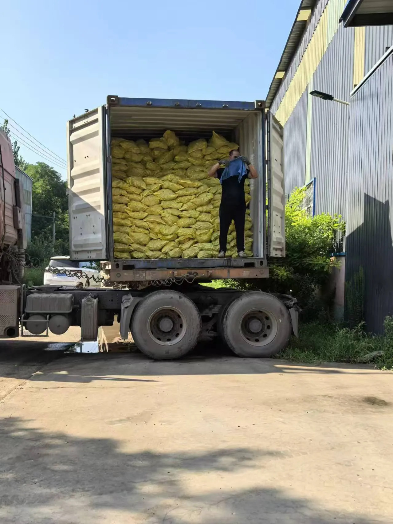 Read More About swivel coupler forged