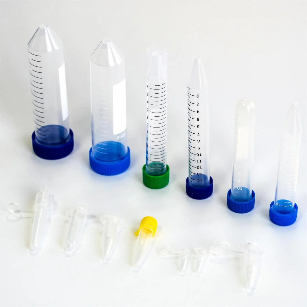 Top Lab Supplies for Successful Experiments
