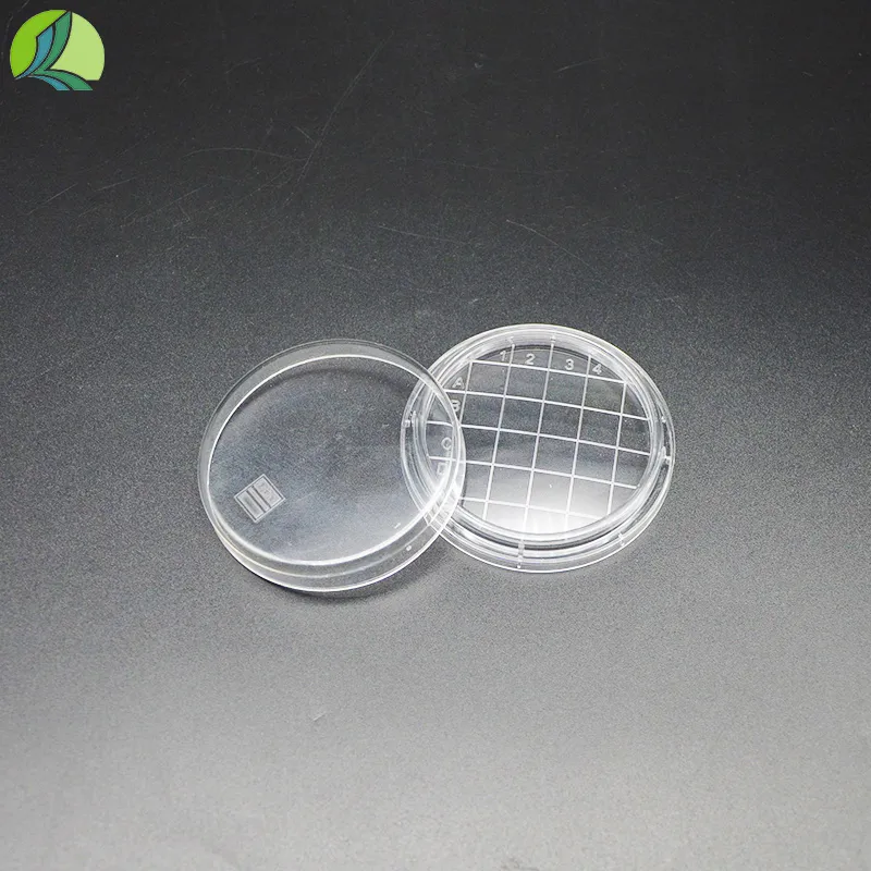 Wholesale Supplier of Eye Dropper Bottles for Your Packaging and Dispensing Needs