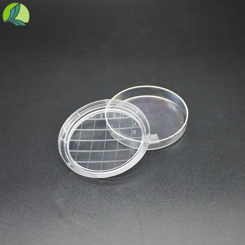 Refreshing Facial Mist Spray Bottle for Hydration and Skin Care Routine Essentials