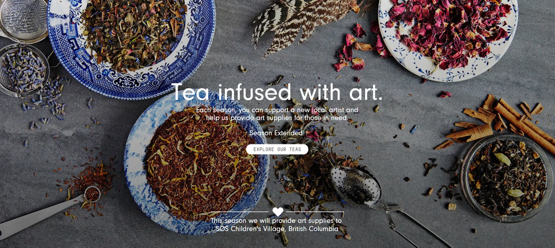 Wholesale 50ml Dropper Bottles for Essential Oils and Liquid Products in Bulk Purchase Options