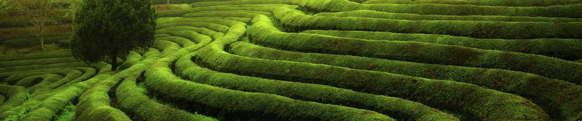 Top Manufacturers of Plastic Spray Bottles for Various Applications and Uses