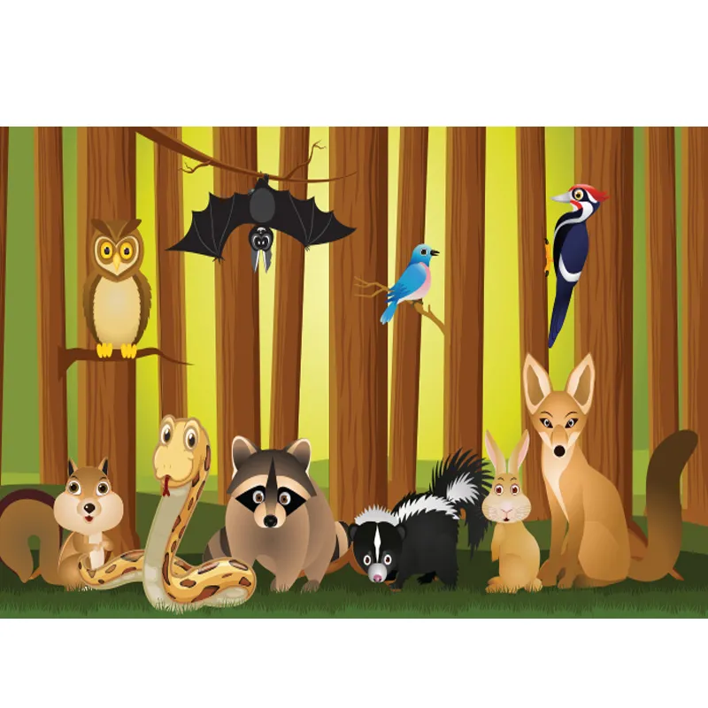 Affordable Fence Boards for Your Home Improvement Projects