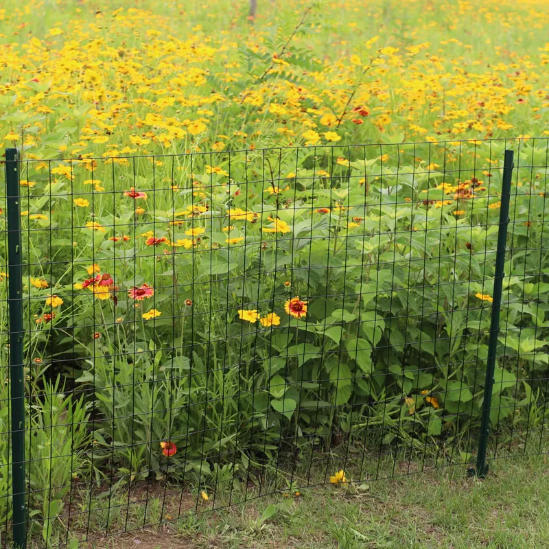 Tomato Cage Plant Stand - Versatile Support for Your Garden