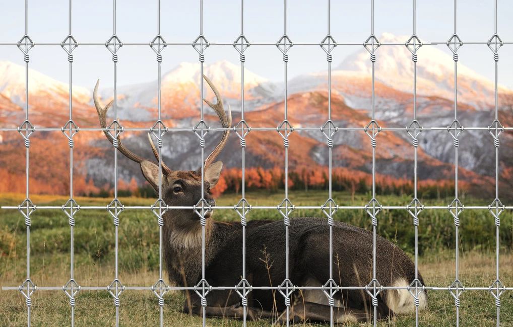 decorative metal garden fence panels decorative metal garden fence panels