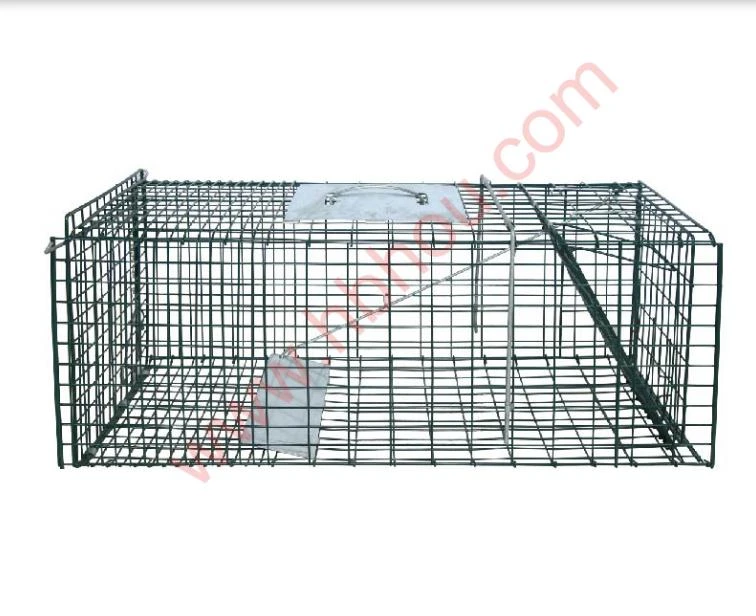 shepherds hook double