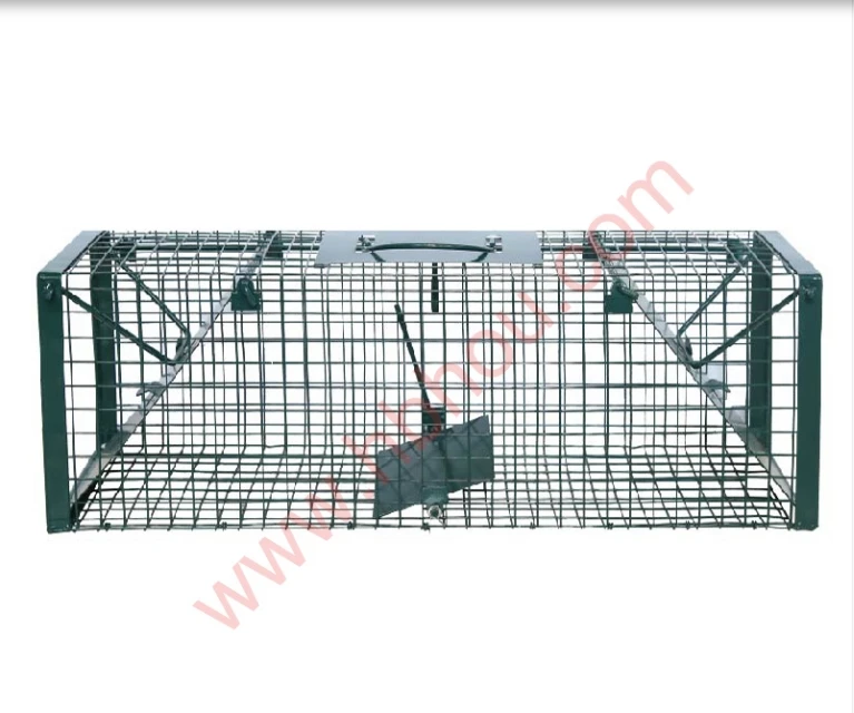 rusty plant supports