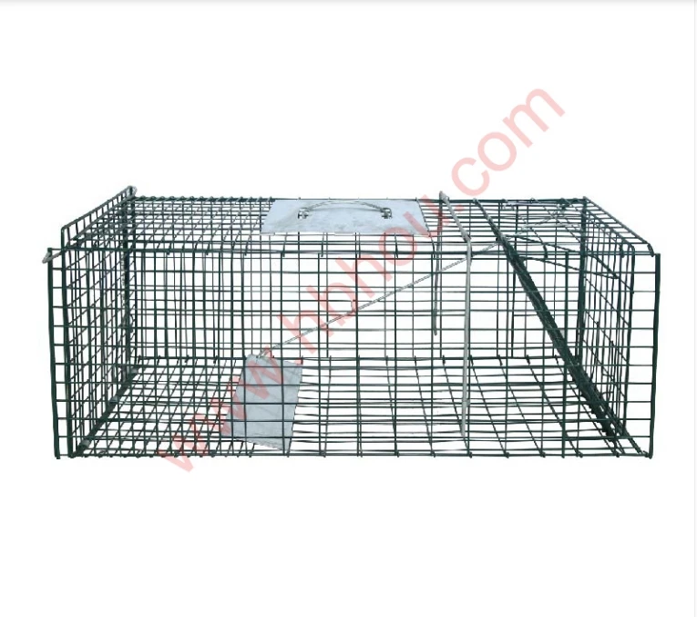 razor wire and barbed wire