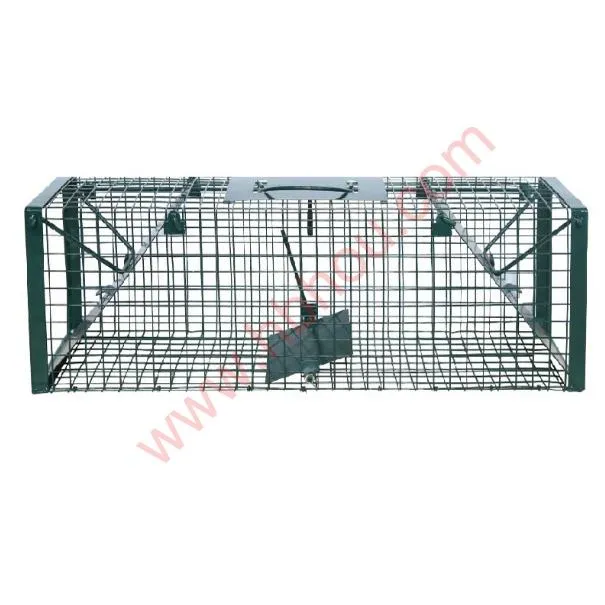 Razor Wire Metal Steel Concertina Barbed Wire Fencing Galvanized