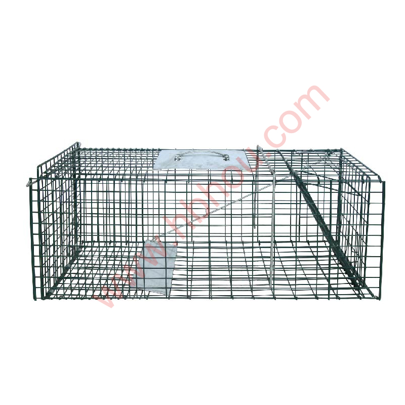 Steel na Bakod na U-Post para sa Matibay na Proteksyon ng Hardin