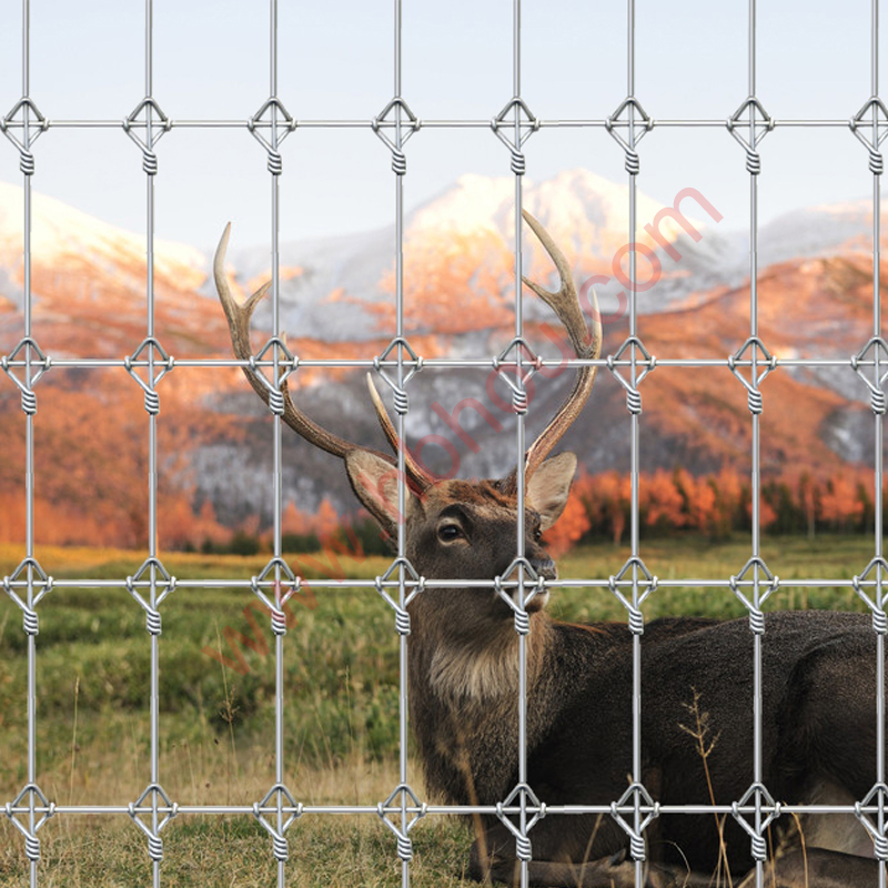 Deer Fence Galvanized Farm Livestock Fencing - Hebei Houtuo Trading | Wildlife Control, Durable Fencing