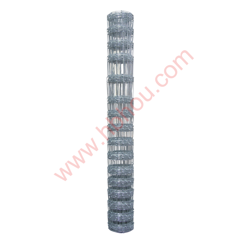 Support Systems for Growing Tomato Plants in Bags for Enhanced Growth and Stability