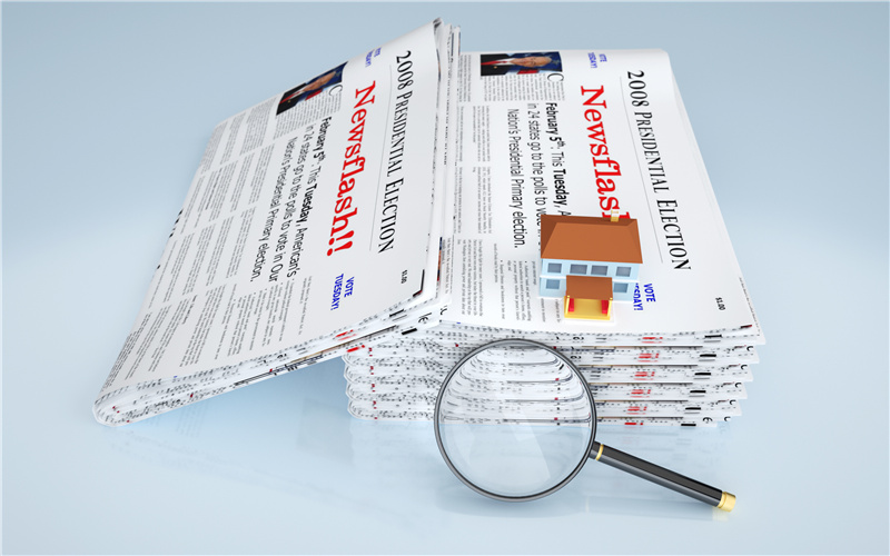 Exploring the Charm of Natural Fencing in Reed Garden Designs