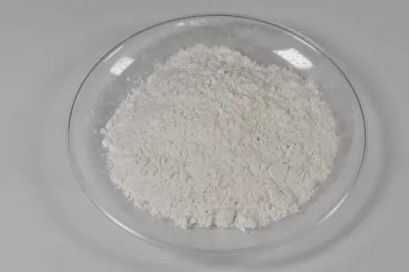 The Magic of Mica Powder for Skin