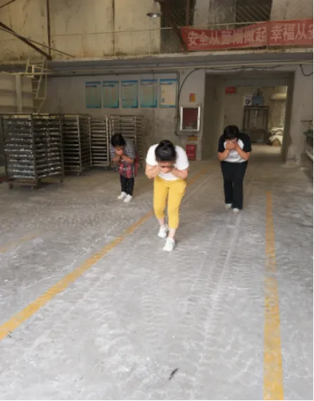 5-25 Micron Synthetic Mica Powder