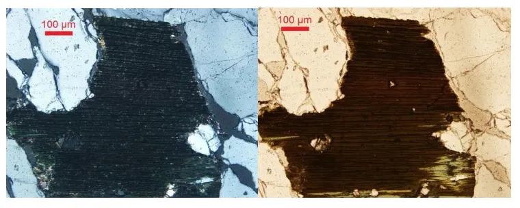 Read More About Lip Safe Mica Powder