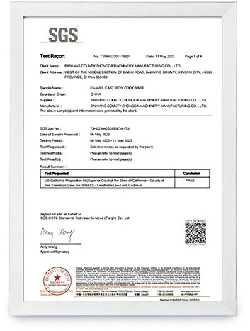 pre seasoned cast iron