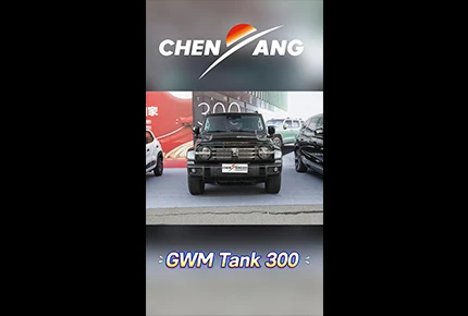 Meet the GWM Tank 300 Traverser