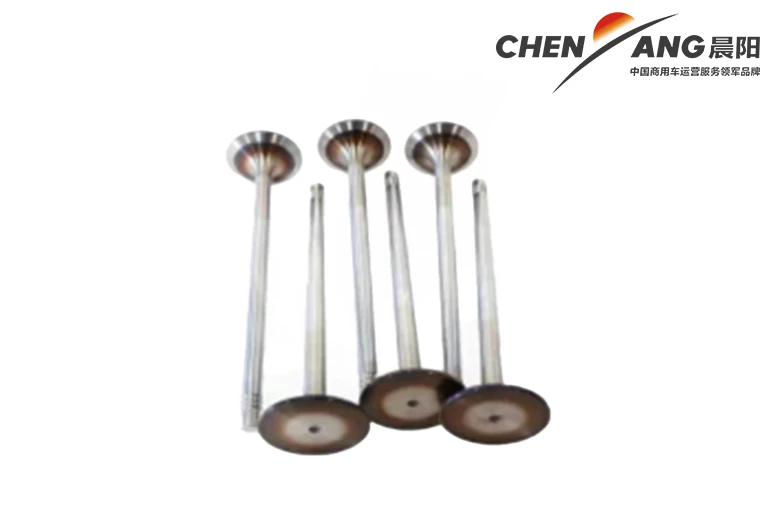 Weichai Intake Valve