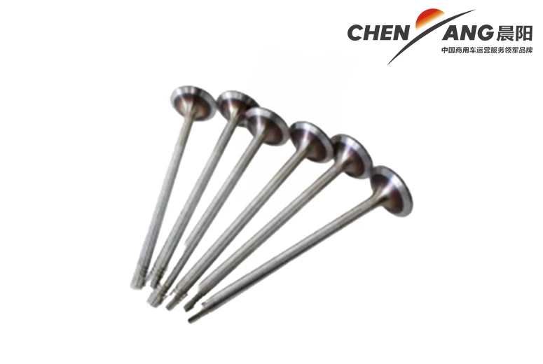 Weichai Exhaust Valve