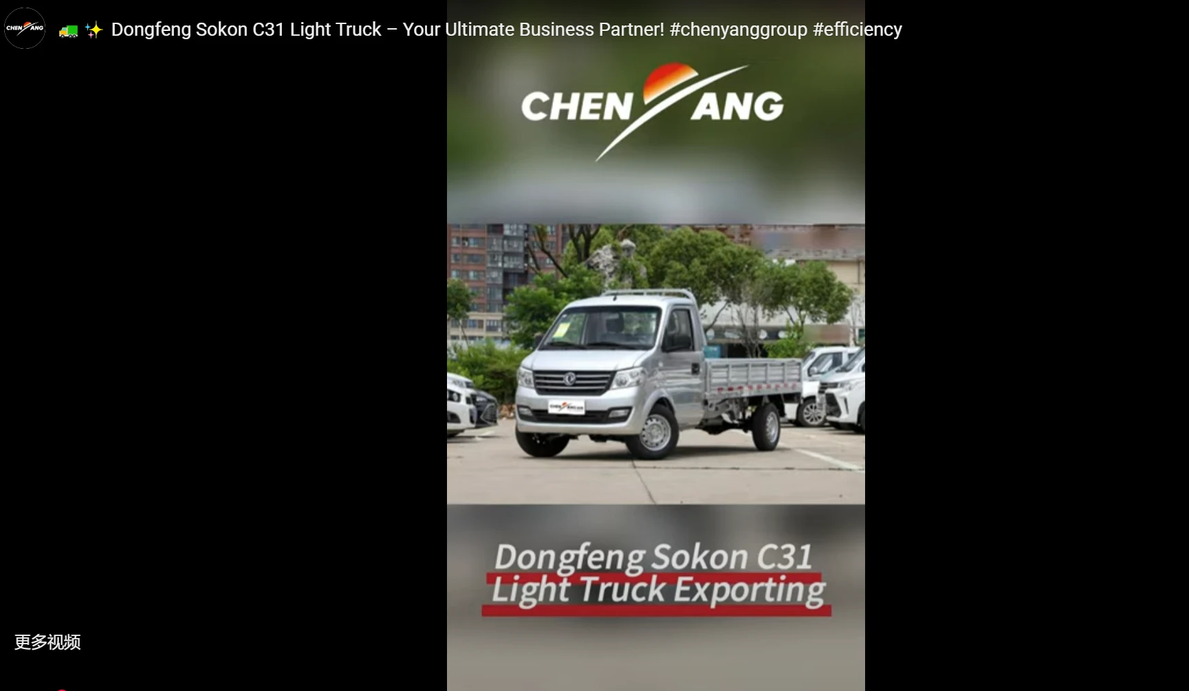 Dongfeng Sokon C31 Light Truck – Your Ultimate Business Partner!