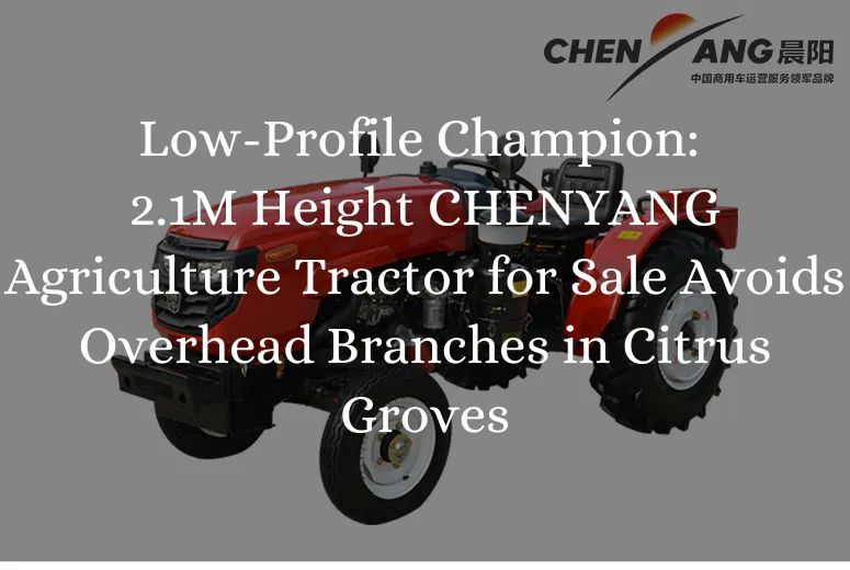 Low-Profile Champion: 2.1M Height CHENYANG Agriculture Tractor for Sale Avoids Overhead Branches in Citrus Groves