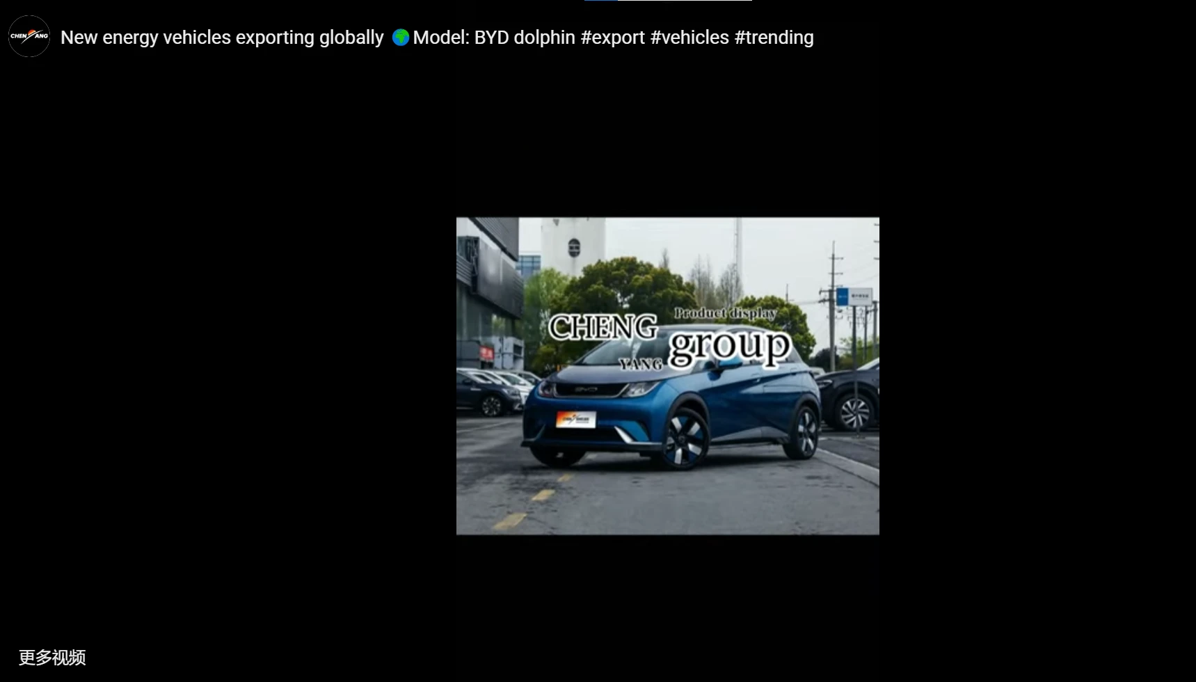 New energy vehicles exporting globally Model: BYD dolphin