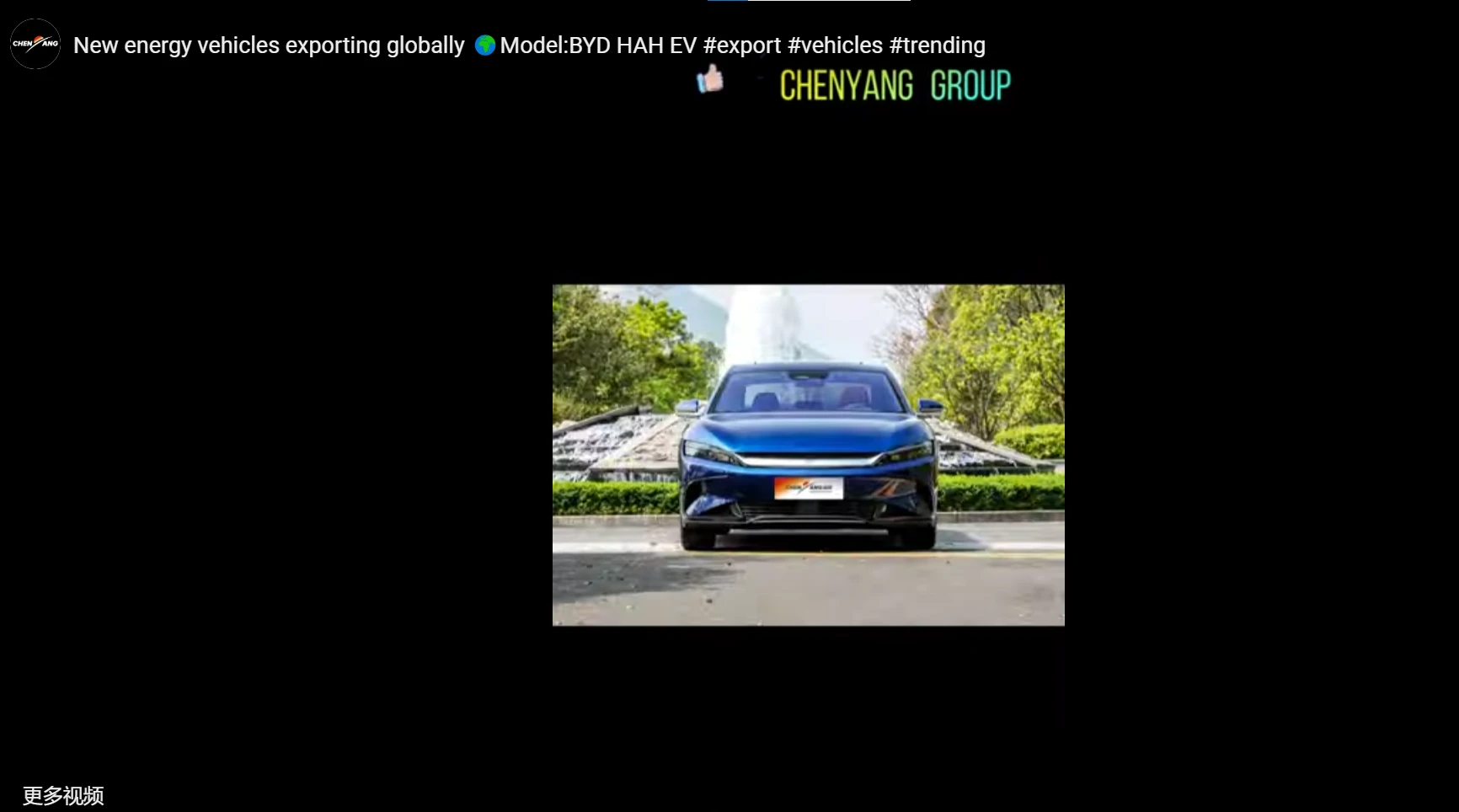 New energy vehicles exporting globally Model: BYD HAH EV