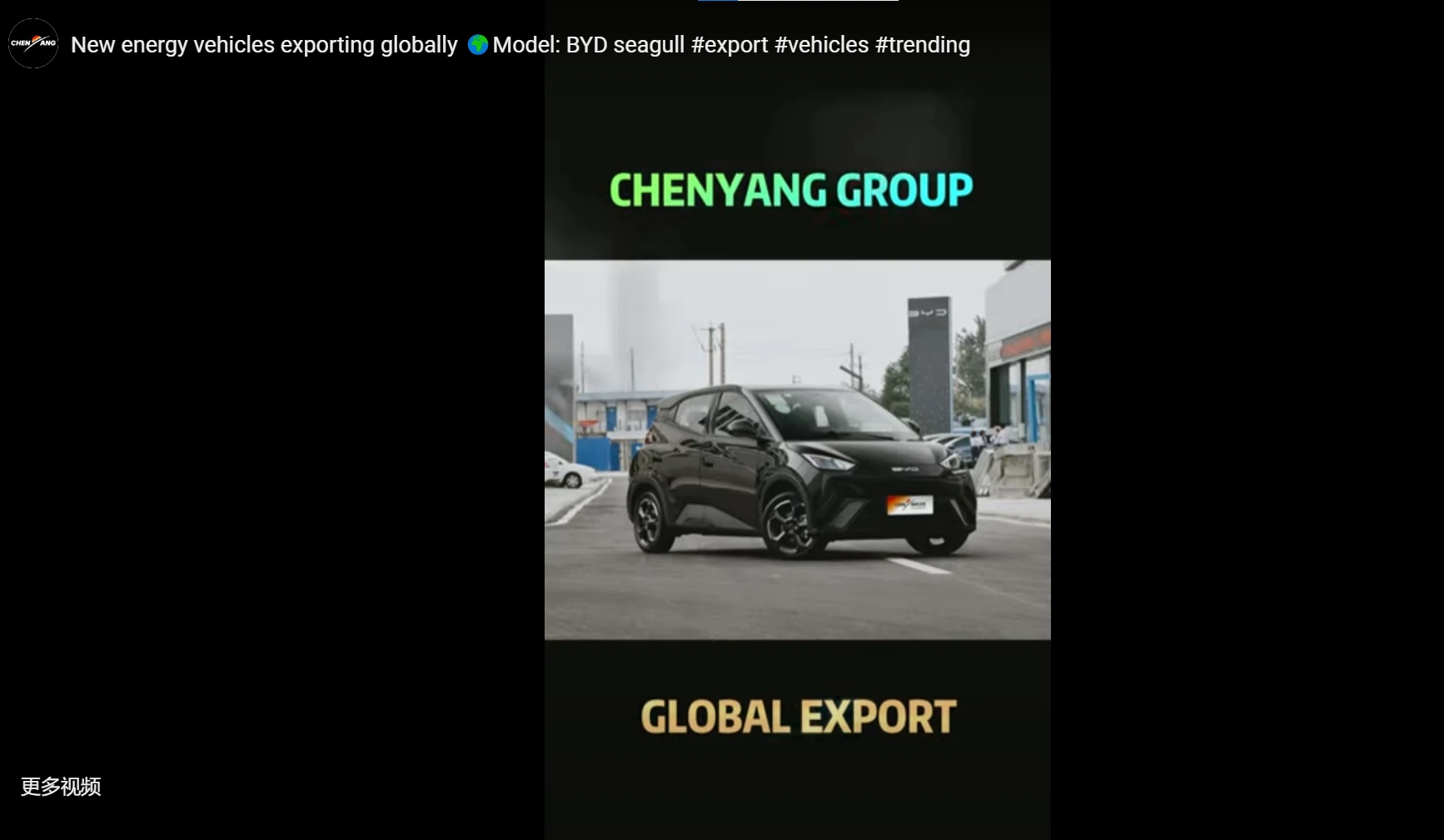 New energy vehicles exporting globally Model: BYD seagull