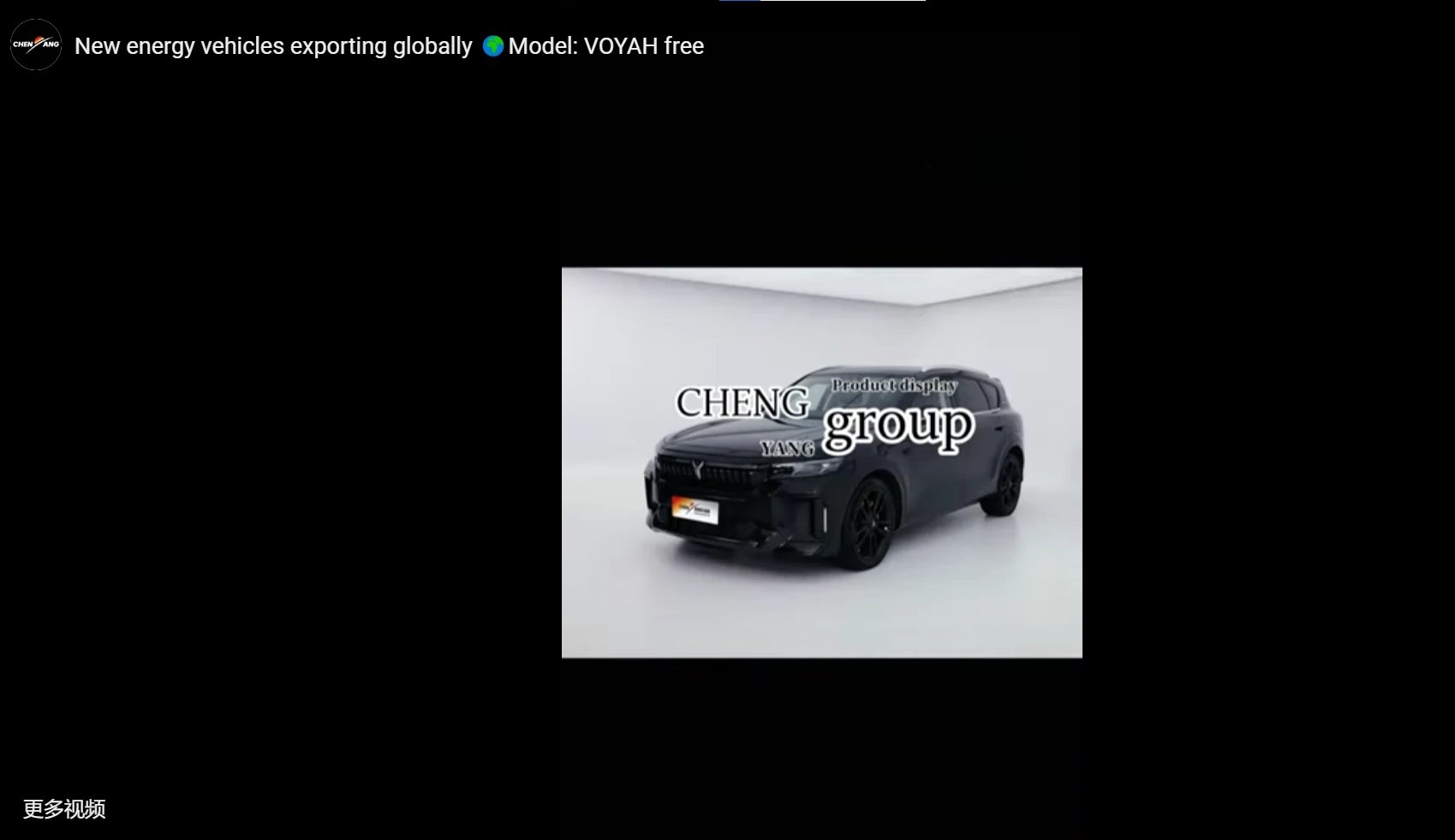 New energy vehicles exporting globally Model: VOYAH free