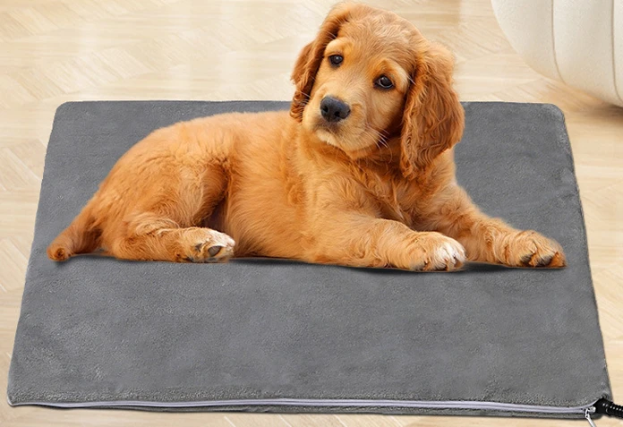 Our heating pads for dogs provide warmth and comfort for your pets during colder months. These pads help regulate body temperature and provide relief from joint pain, ensuring your pet stays comfortable and happy.