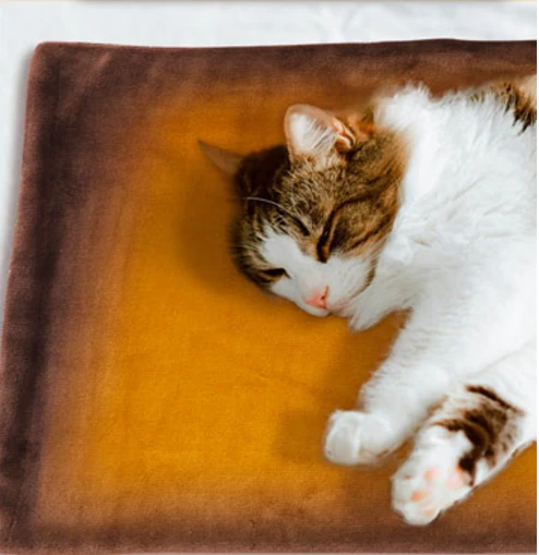 Pet Heating Blanket: The Guardian of Winter Warmth