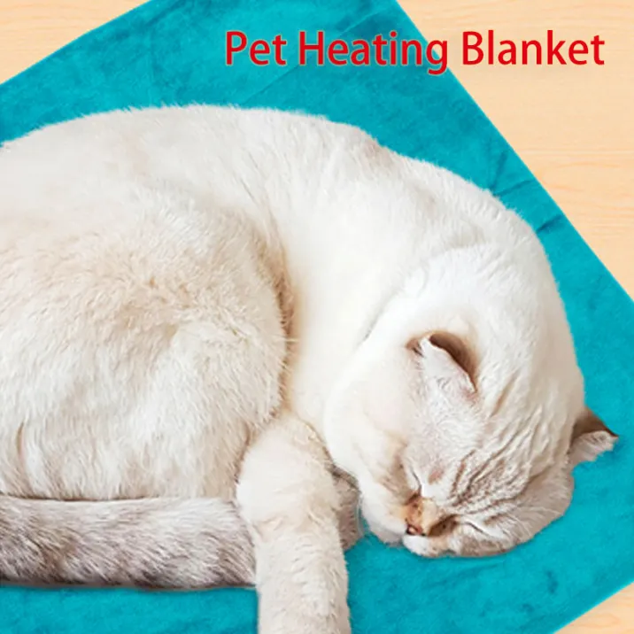 5 Reasons Why a Pet Heating Pad is Better than a Traditional Pet Bed 5 Reasons Why a Pet Heating Pad is Better than a Traditional Pet Bed
