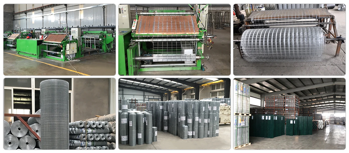 Dog Mesh Warehouse.webp Dog Mesh Warehouse.webp