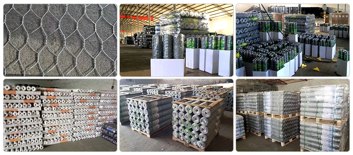 Hexagonal Wire Netting Warehouse.webp