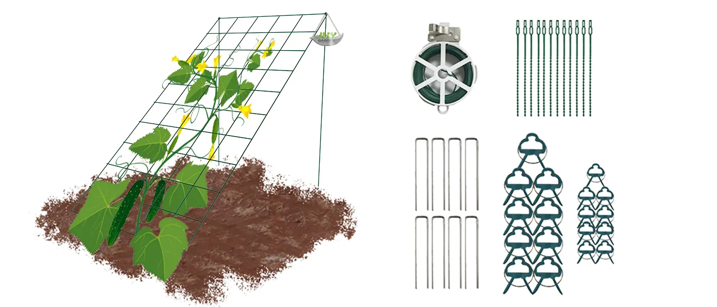 CUCUMBER TRELLIS