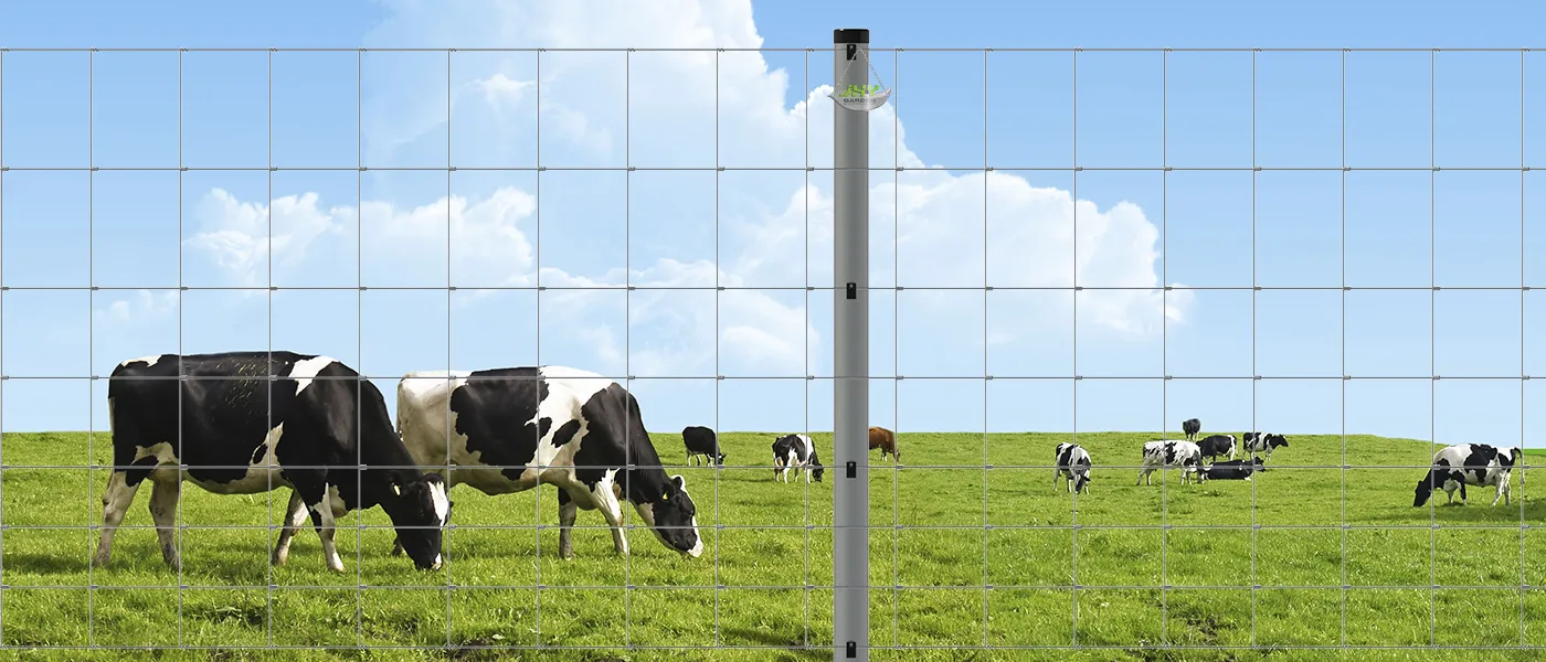 GALVANIZED FIELD FENCE SIZE 80×150MM WIDTH 102CM