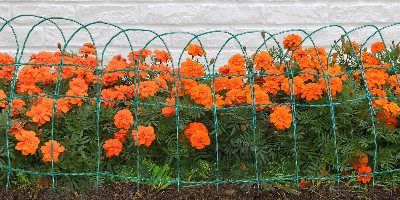 PVC COATED WIRE BORDER FENCE SIZE 90CM×25M