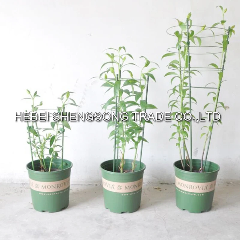 common roofing nails