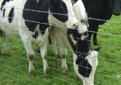 different types of mesh wire