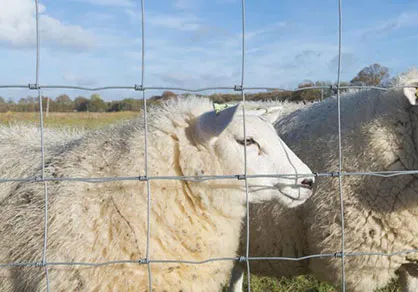 12 1 2 gauge high tensile galvanized wire 12 1 2 gauge high tensile galvanized wire