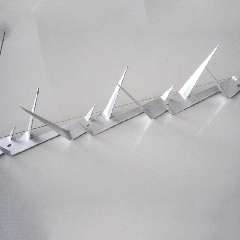 Barbed Nails: Rust-Resistant, Extra Grip—Need Bulk Supply?