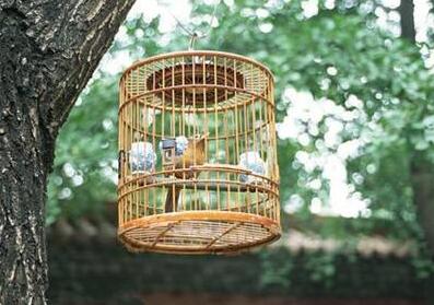 gi perforated sheet price