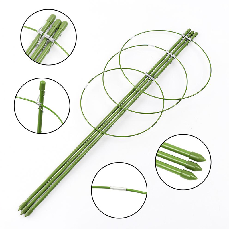 Plant Cages: Durable, Rust-Resistant, Easy Support