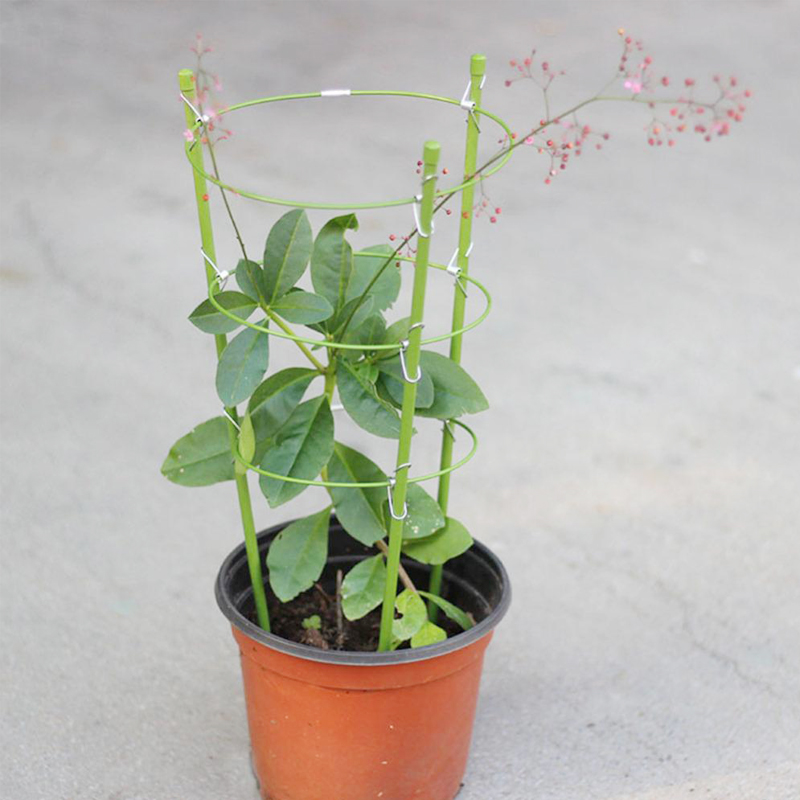 Plant Cages: Durable, Rust-Resistant, Easy Support