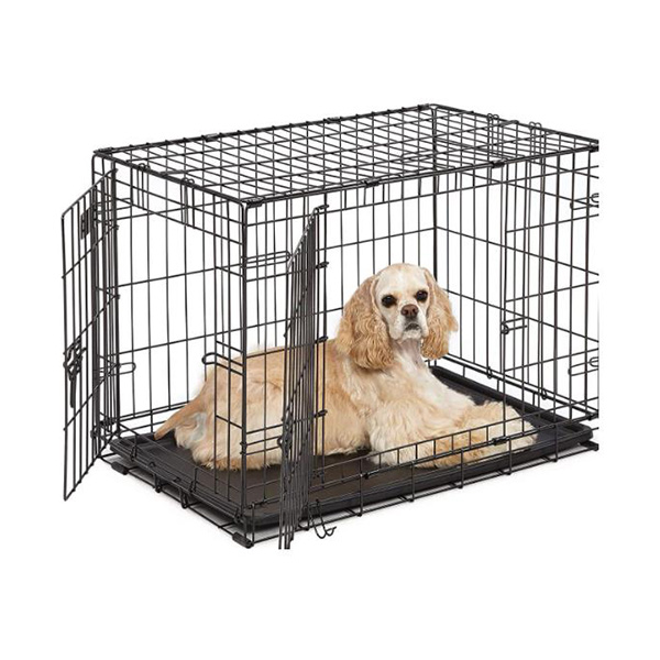 Wire Dog Crate: Foldable, Secure, Comfy—Why Choose This?