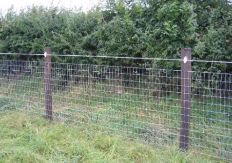 The role and function of the barbed wire piece of the site fence